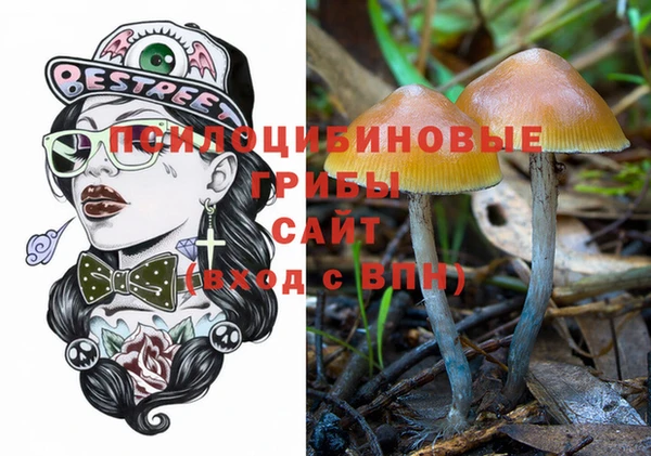 мдпв Россошь