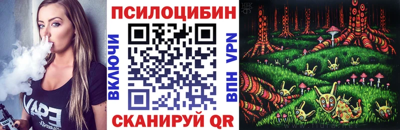 хочу   OMG вход  Псилоцибиновые грибы Magic Shrooms  Александровск-Сахалинский 